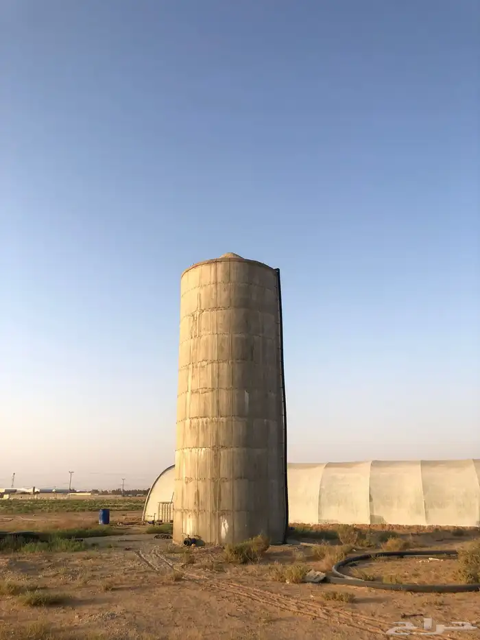 للبيع مزرعه في البدائع 0