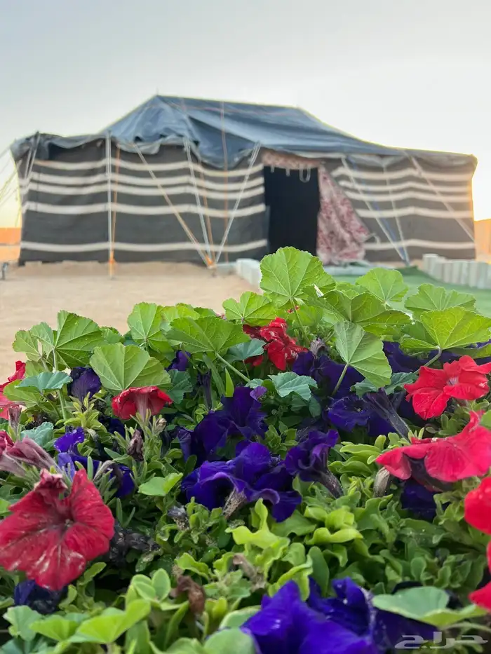 بيت شعر للبيع 0