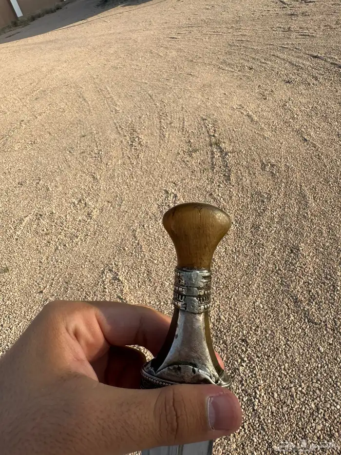 زراف اصلي للبيع الصب يهودي 1