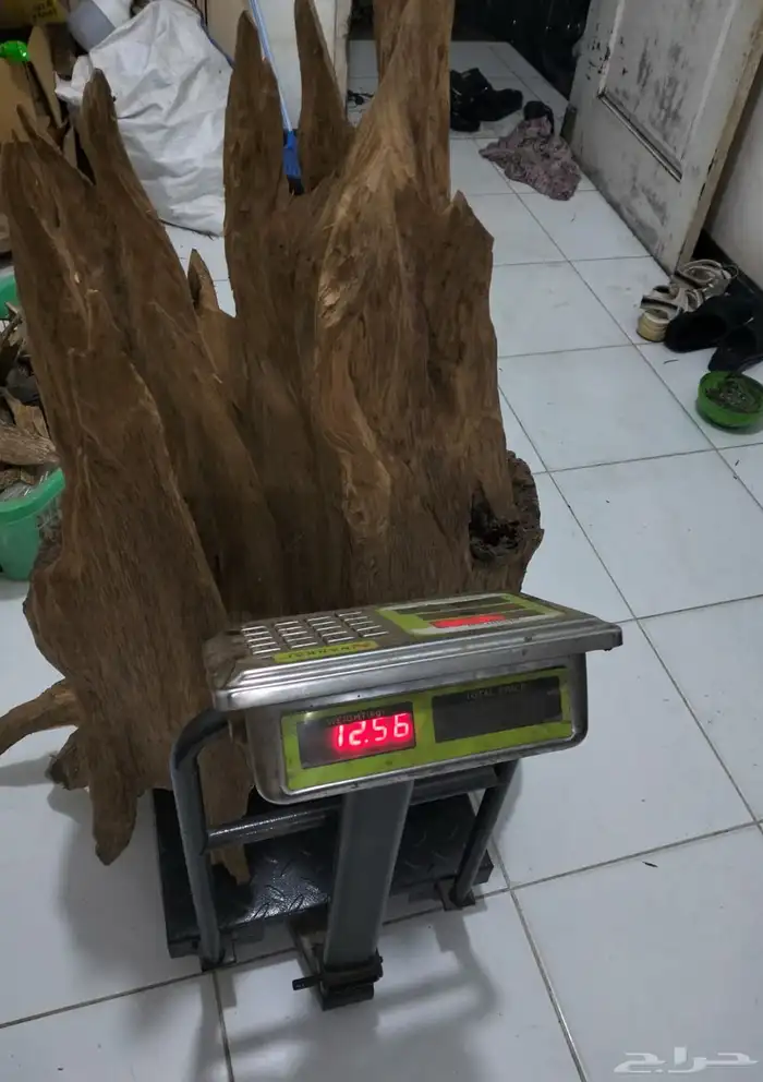 تحفه شجرة بخور حجم كبير 1