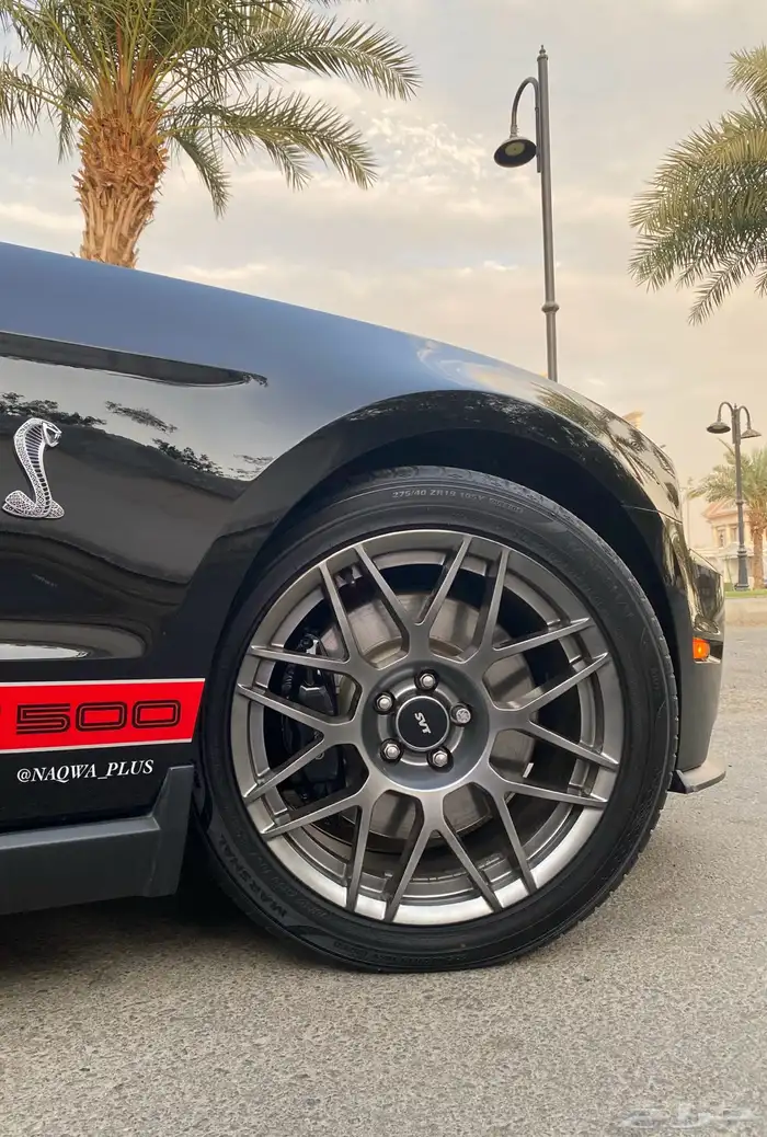 MUSTANG GT500 SHELBYقير عادي 19