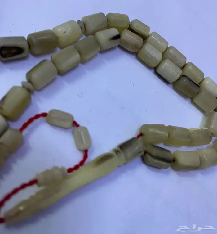 مسباح الوعل 0