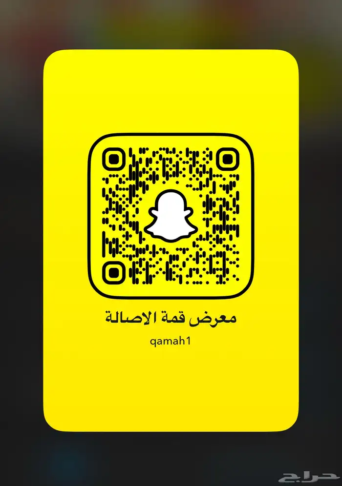 رنج روفر اوتو بيوغرافي 2019 12