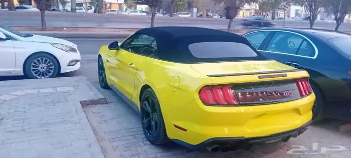 وسيط معتمد في مجال تأجير السيارات 19