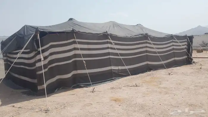 بيت شعر للبيع 1