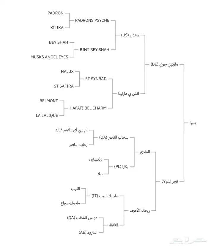 مهره واهو فاخررره جاهزه لنقل 4