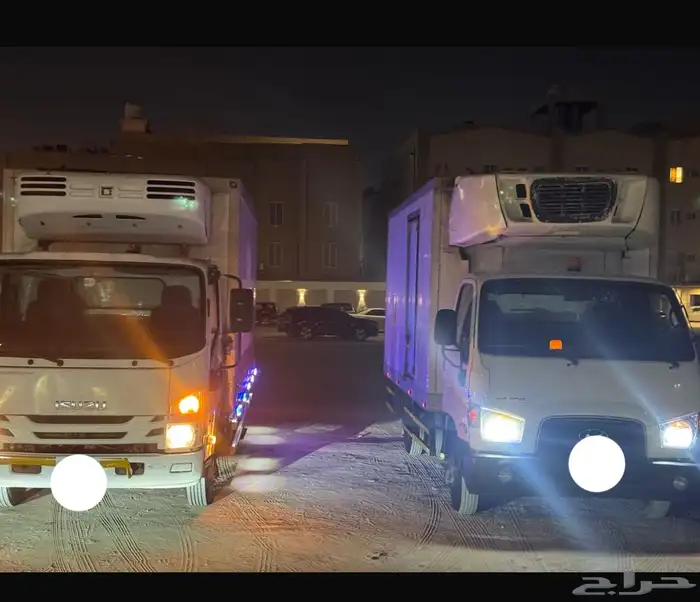 دينا ايسوزو للايجار 1