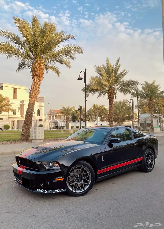MUSTANG GT500 SHELBYقير عادي 20
