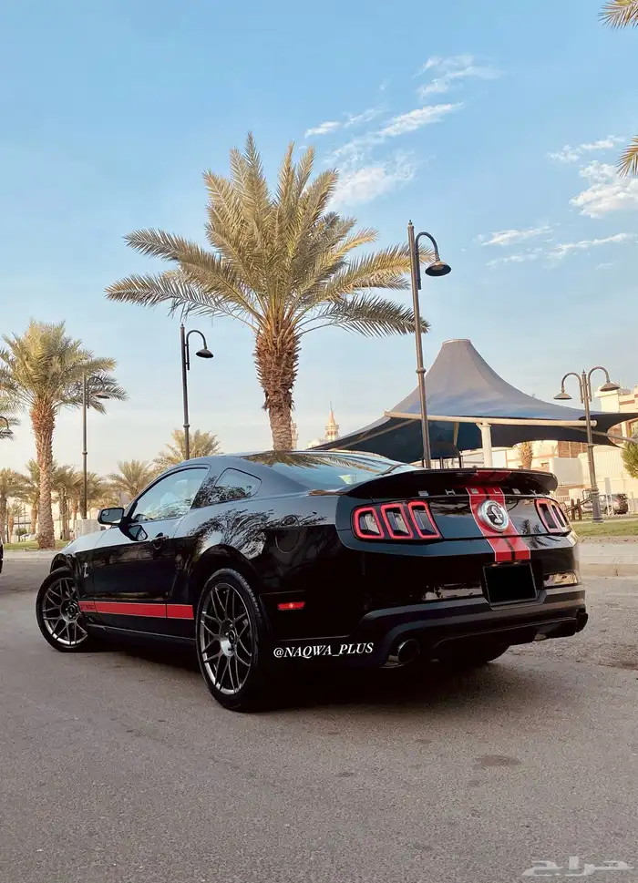 MUSTANG GT500 SHELBYقير عادي 1