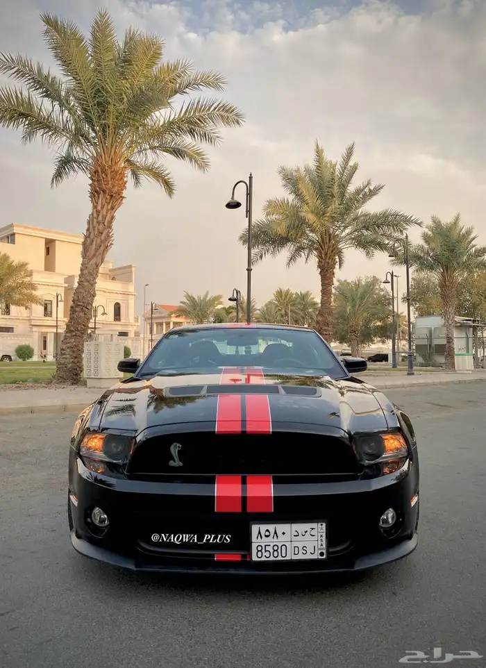 MUSTANG GT500 SHELBYقير عادي 3
