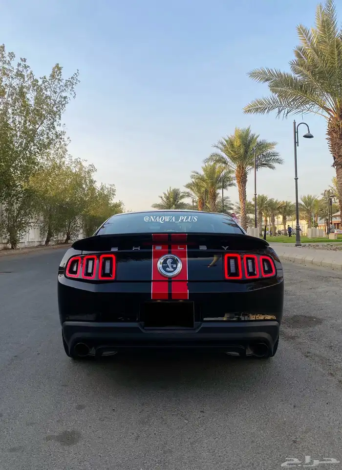 MUSTANG GT500 SHELBYقير عادي 33