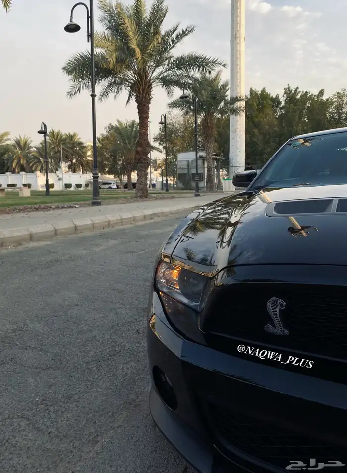 MUSTANG GT500 SHELBYقير عادي 4