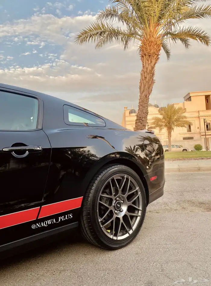 MUSTANG GT500 SHELBYقير عادي 5
