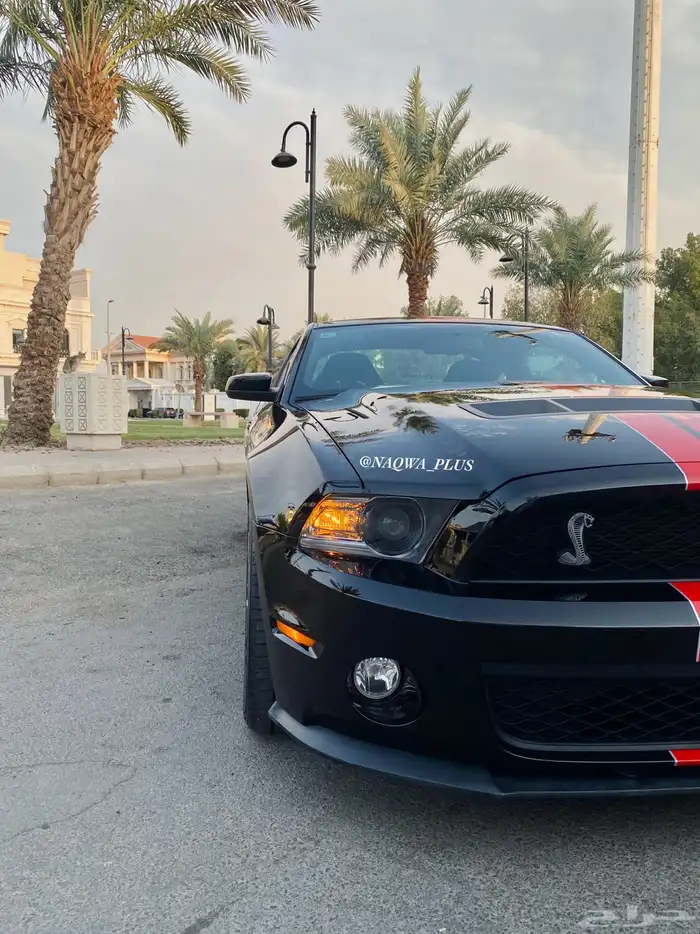 MUSTANG GT500 SHELBYقير عادي 8