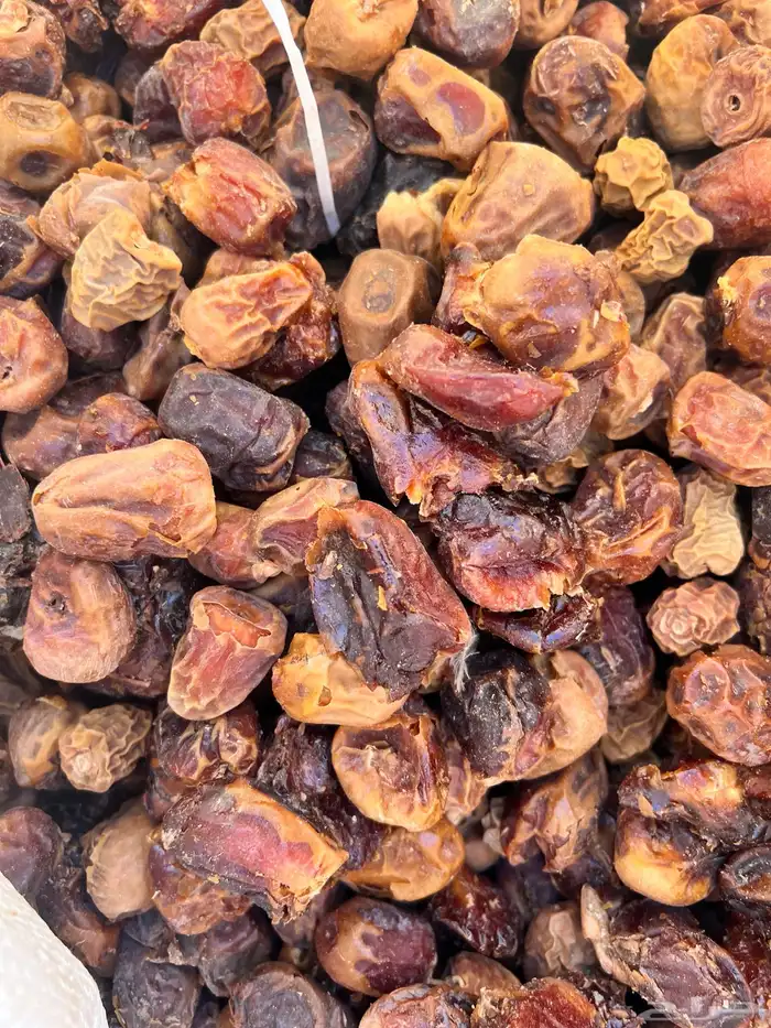 تمر علاف نظييف 0