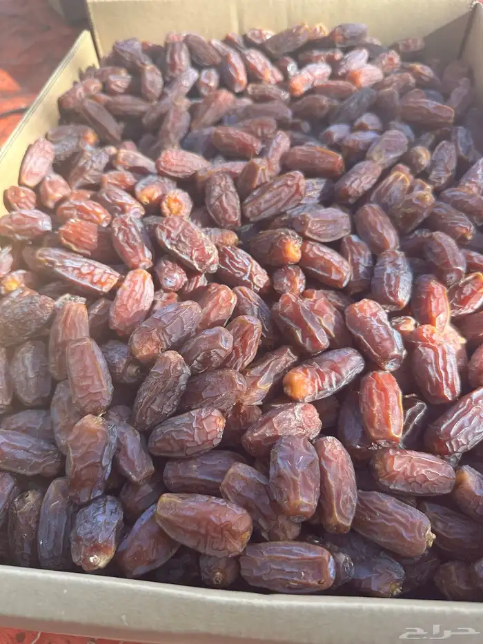 برني العلا مبروم ومشروك للبيع 1