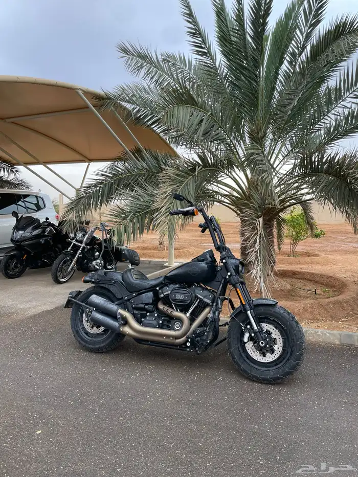 للبيع دباب هارلي ديفيدسون فات بوب مستعمل 9
