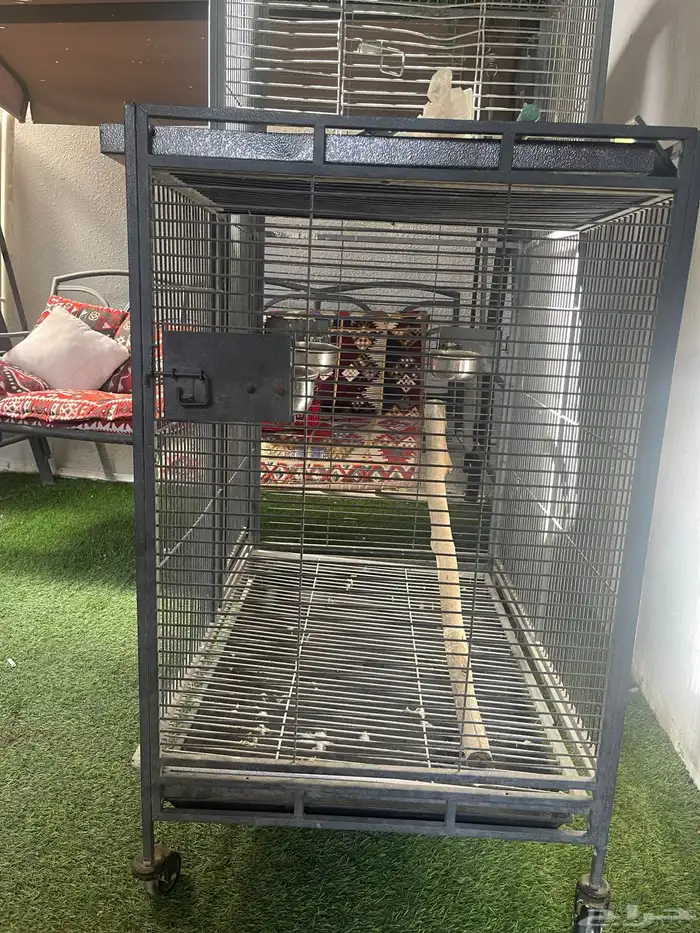 للبيع قفص ببغاء كاسكو انتاج 1