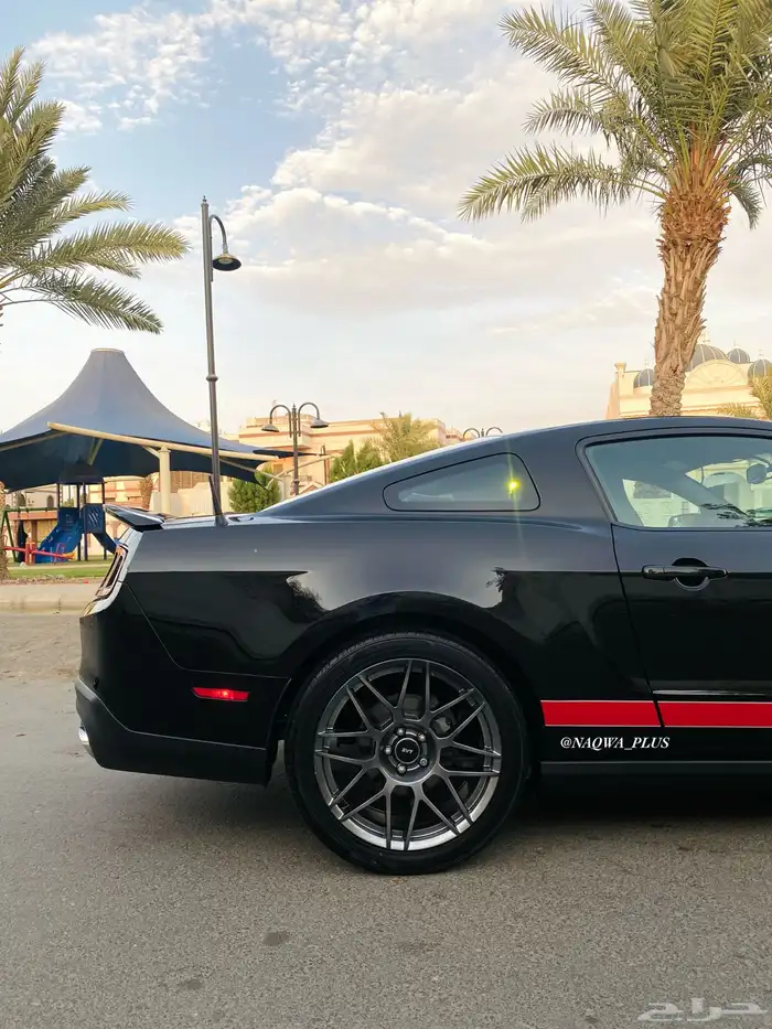 MUSTANG GT500 SHELBYقير عادي 15