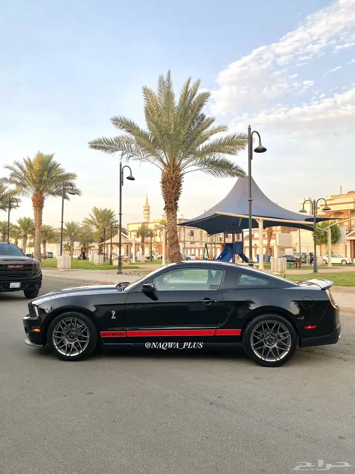 MUSTANG GT500 SHELBYقير عادي 7