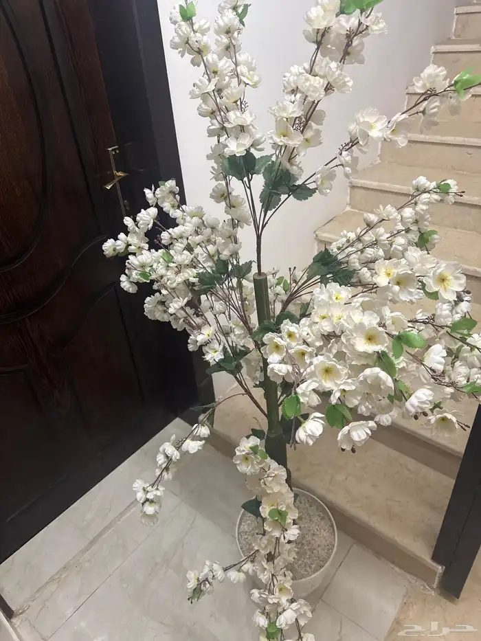اثاث 5