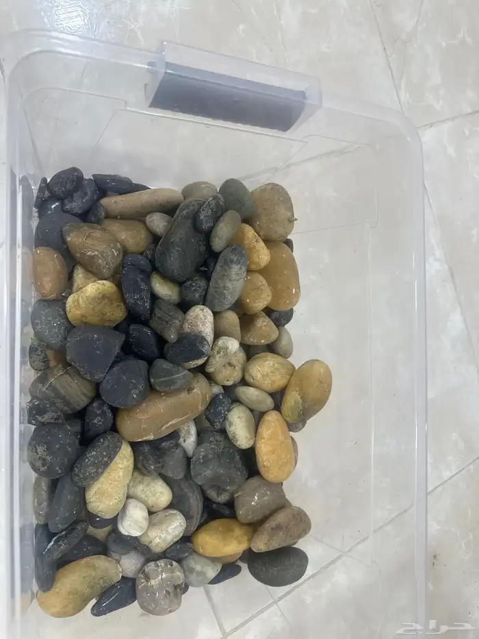 حوض سمك من JEBO . 3