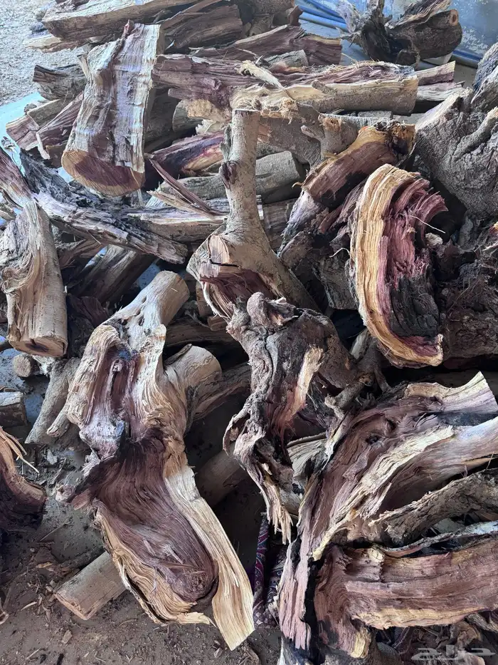 حطب مستورد ممتاز 1