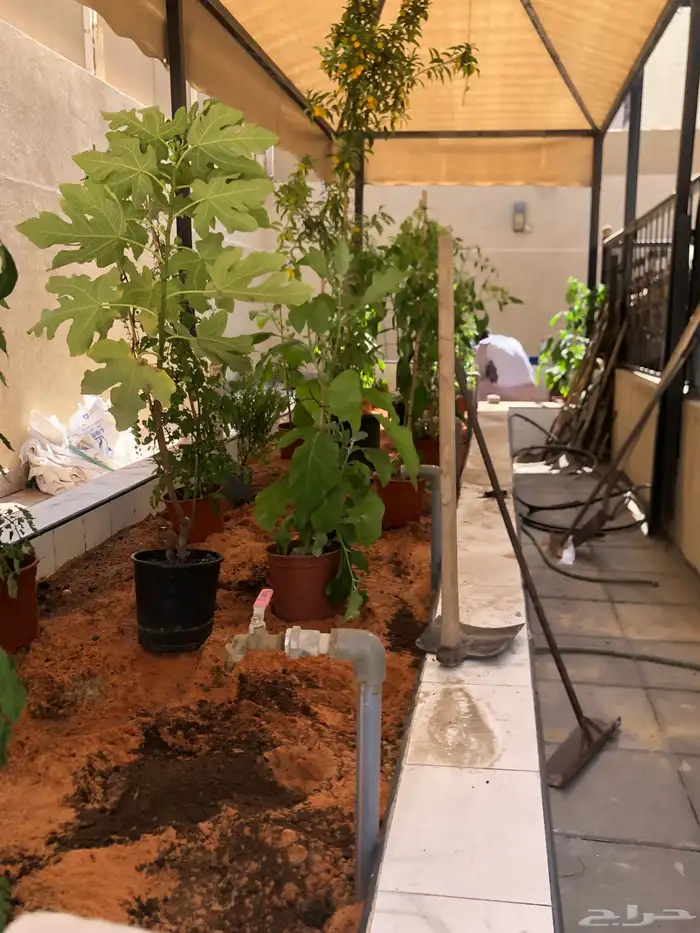 تنسيق الحدائق المنزلية 3