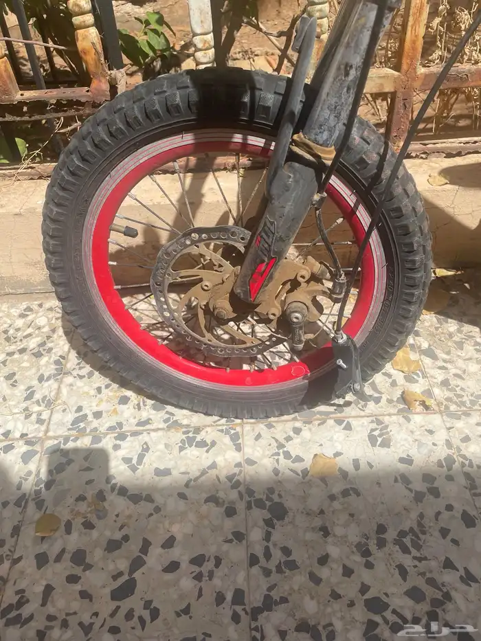سياكل أطفال 2