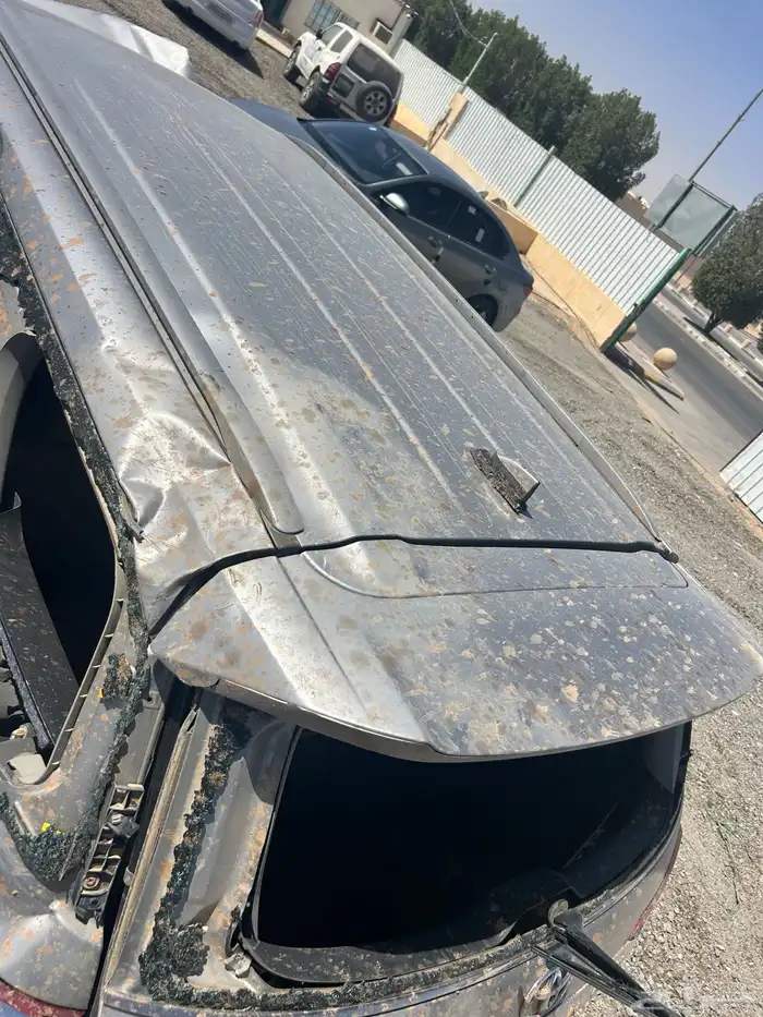 فورشنر 2019 0
