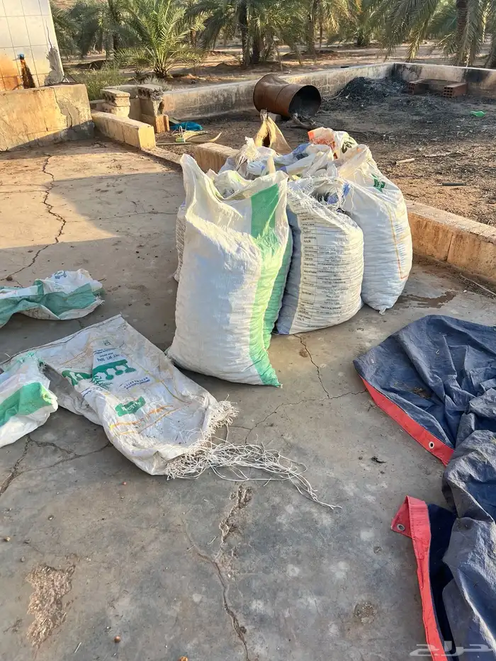 تمر علاف نظييف 1