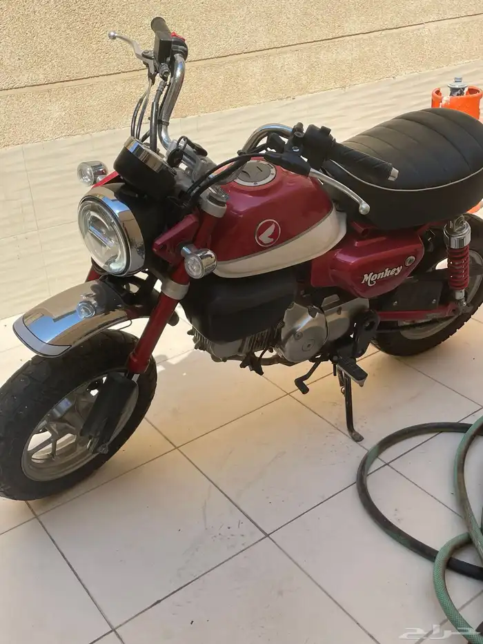 دباب هوندا مونكي 1