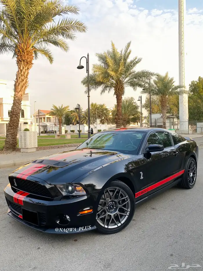MUSTANG GT500 SHELBYقير عادي 0