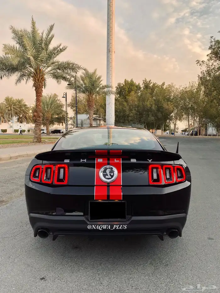 MUSTANG GT500 SHELBYقير عادي 28
