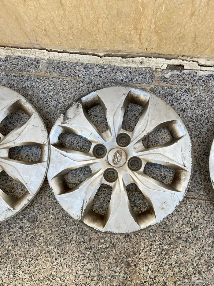 طيوس اكسنت اصلي للبيع 3