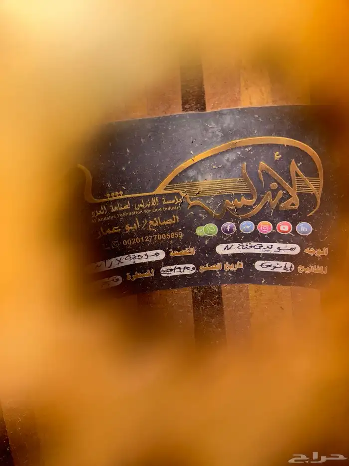 عود مصري 4