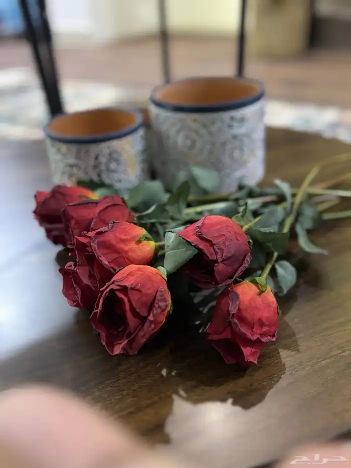 ورد شبة طبيعي بالحبة 4