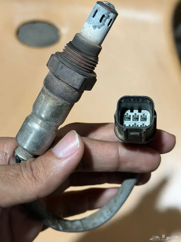 حساس شكمان هوندا اكورد V6 2
