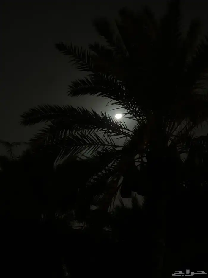 كماروا 3