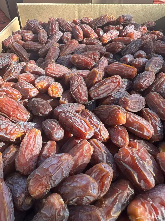 برني العلا مبروم ومشروك للبيع 0