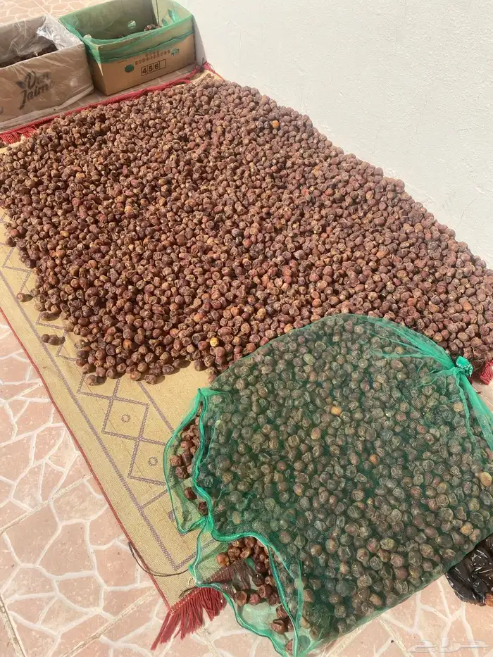 تمر كبس تنك 2