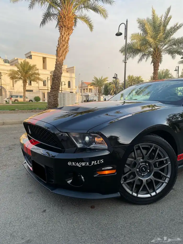 MUSTANG GT500 SHELBYقير عادي 14