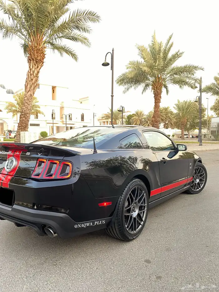 MUSTANG GT500 SHELBYقير عادي 24