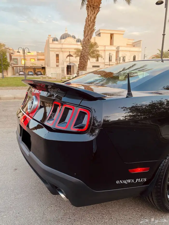 MUSTANG GT500 SHELBYقير عادي 32