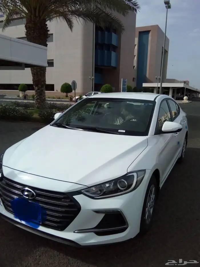 كداد خيبر إلى المدينه مشاوير ورسائل 0