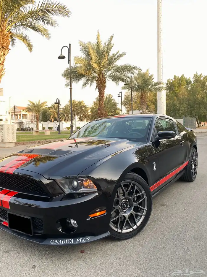 MUSTANG GT500 SHELBYقير عادي 9