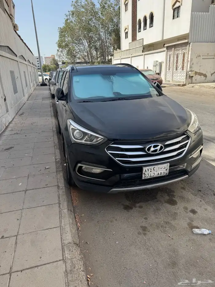 ستنافي 2017 23