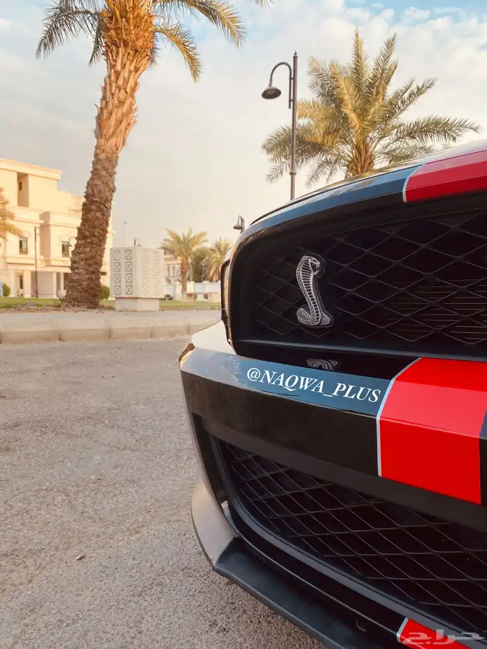 MUSTANG GT500 SHELBYقير عادي 22