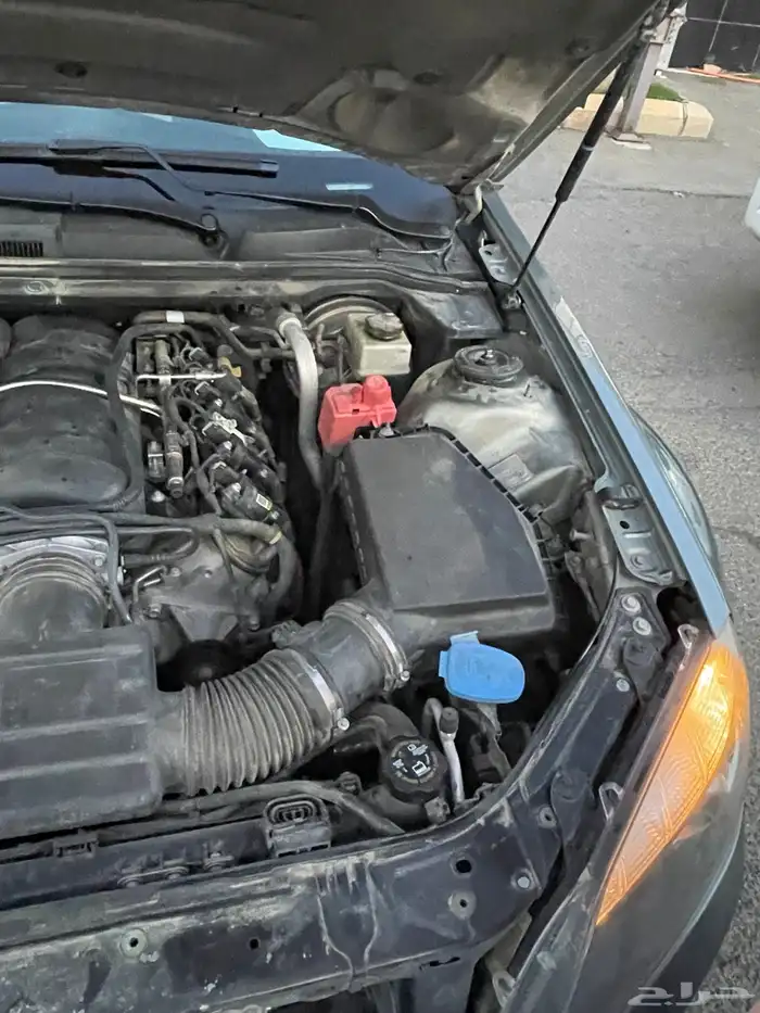 كابرس Ls 2015 41