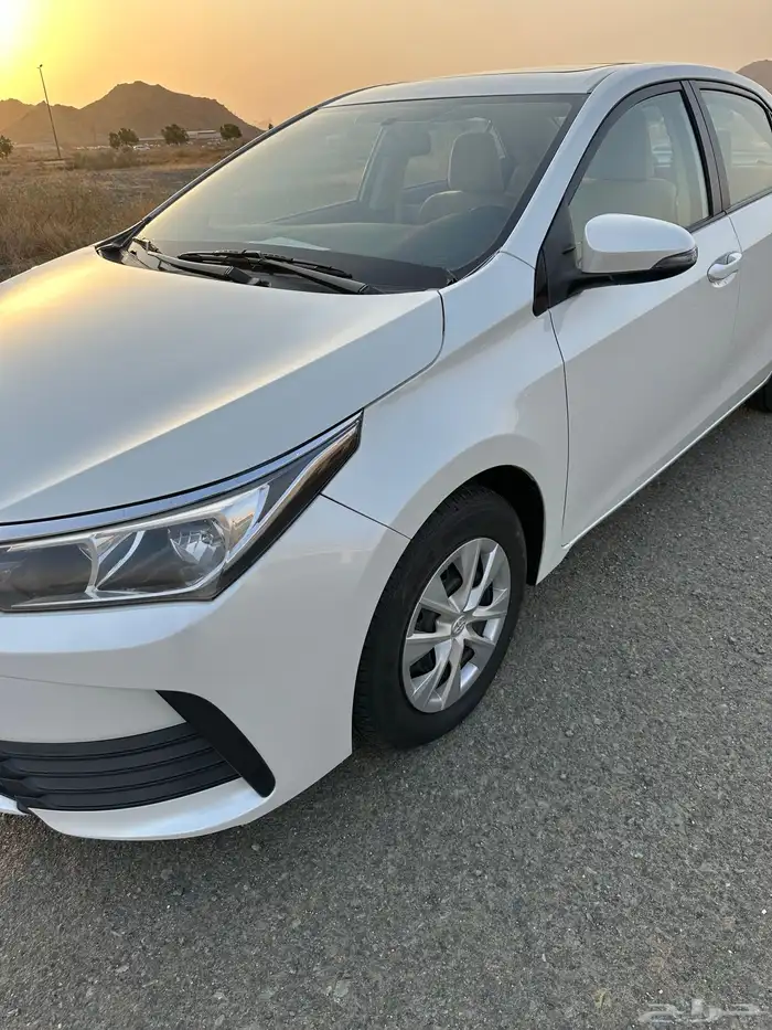 كورلا 2019استندر فتحه جات دفعه منها عبداللطيف جميل 4